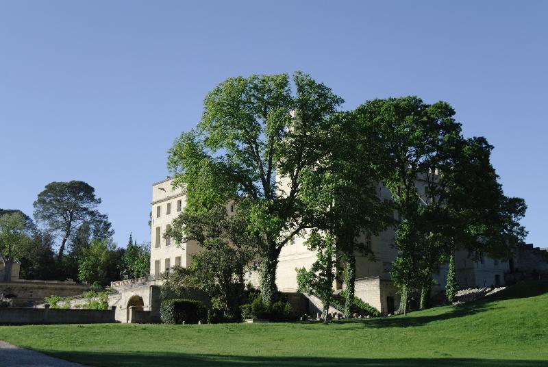 Hotel Chateau De Pondres Villevieille Esterno foto